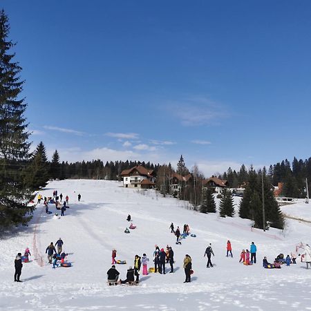 Apartmani Suncani Breg Tara Mitrovac Exteriér fotografie