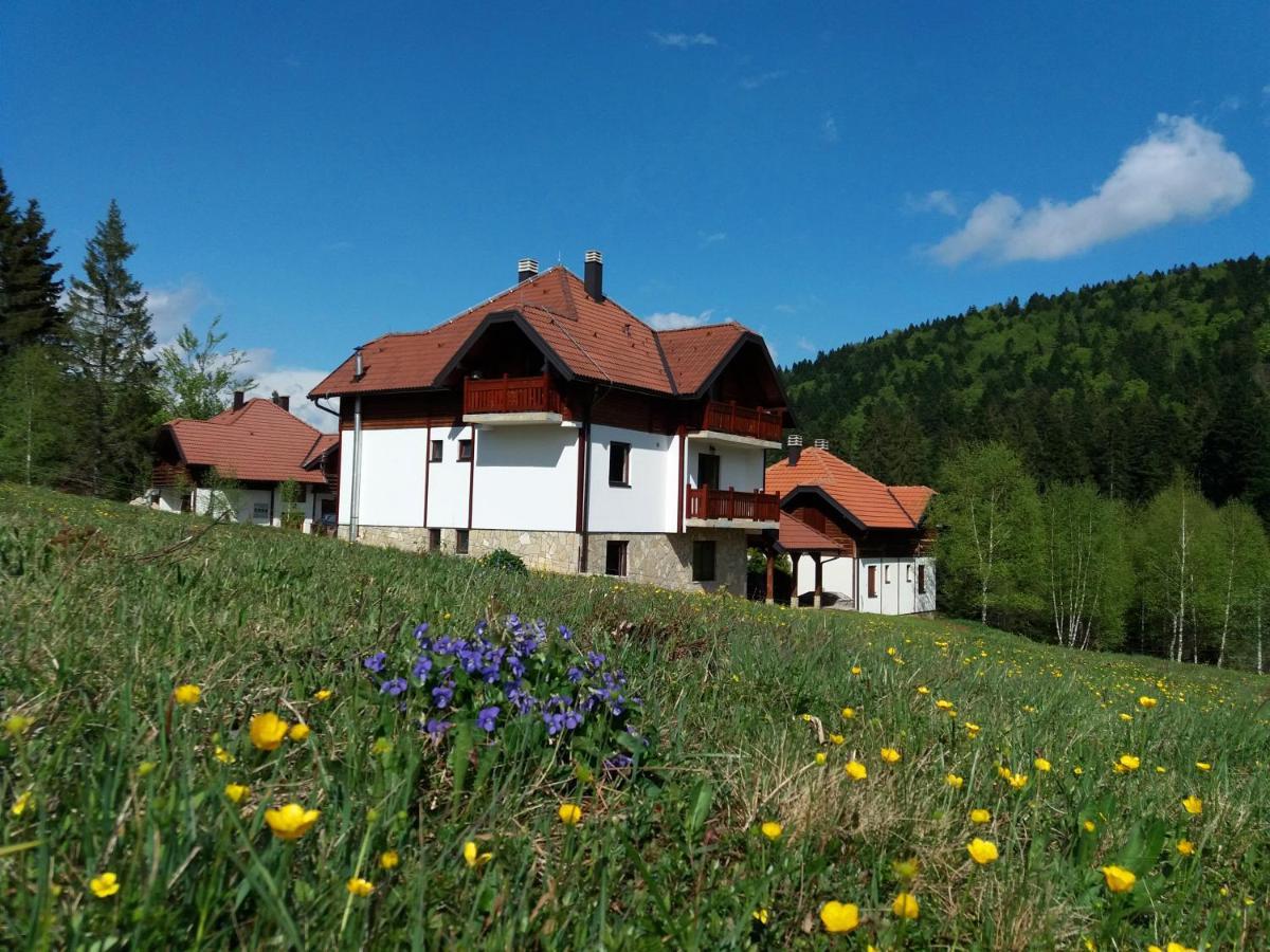 Apartmani Suncani Breg Tara Mitrovac Exteriér fotografie